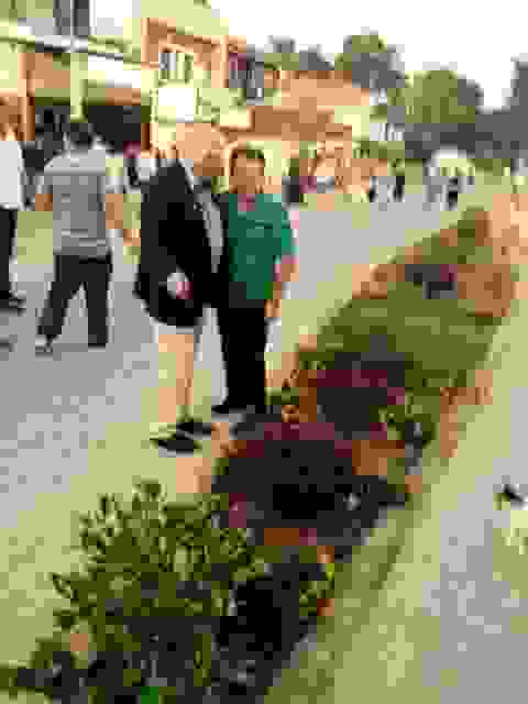 skala4