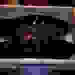 vin1