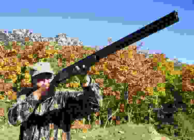 KIN