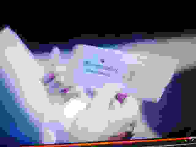 MAN