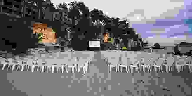 SeaNema1 652×325