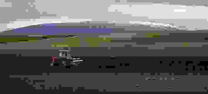 Agrotestsakalidis 708