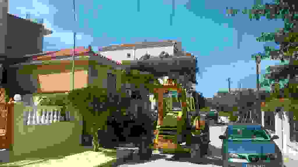 alex1