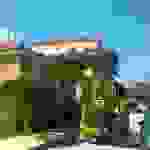 alex1