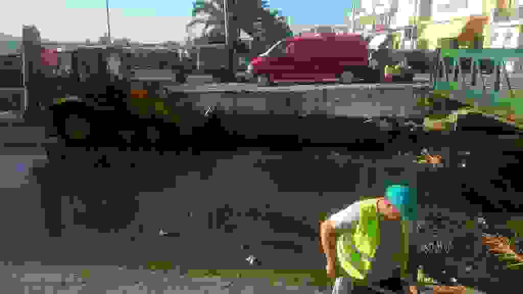alex1