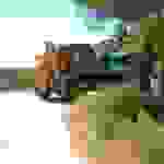 alex1