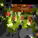 alex22