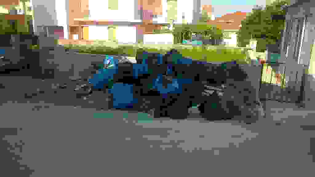 alex4