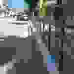 alex4