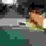 alex7