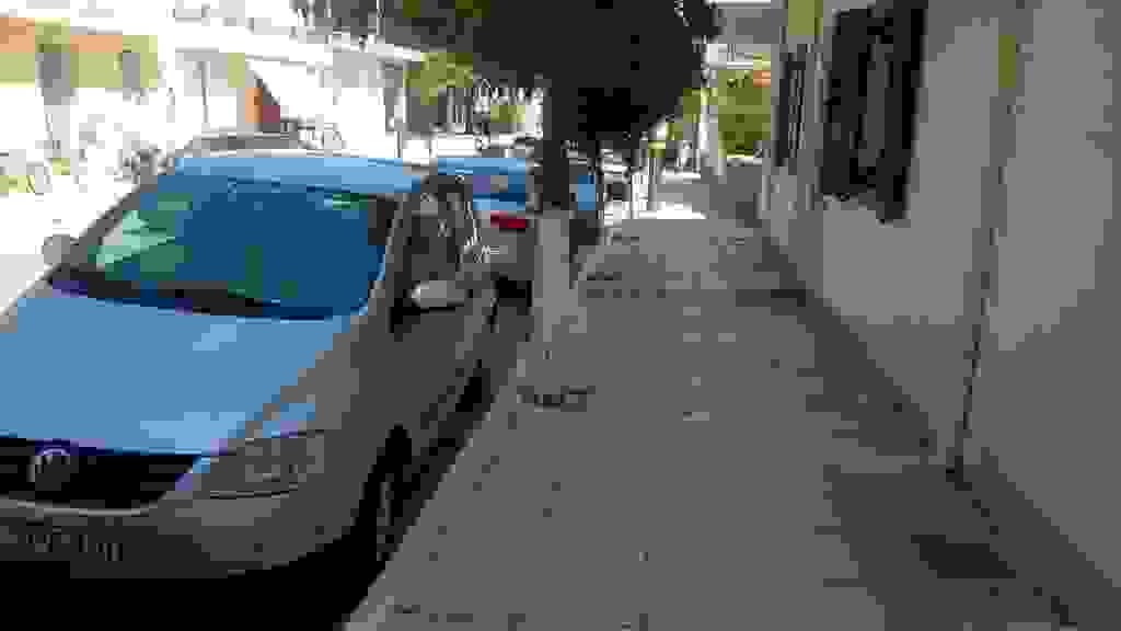 alex7