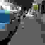 alex7