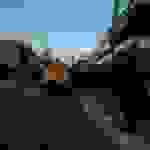 alex7