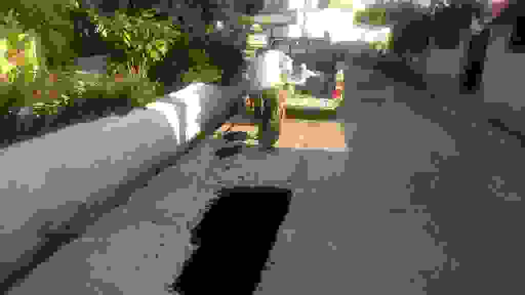 alex8