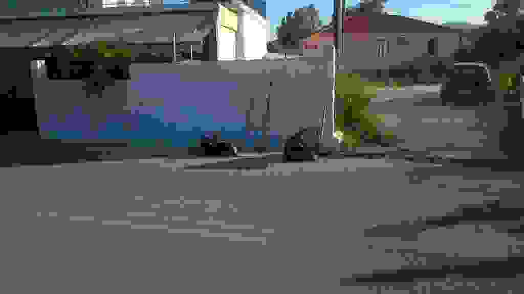 alex8