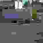 alex8