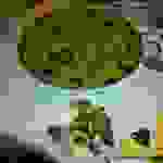 alex9