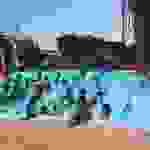 an1