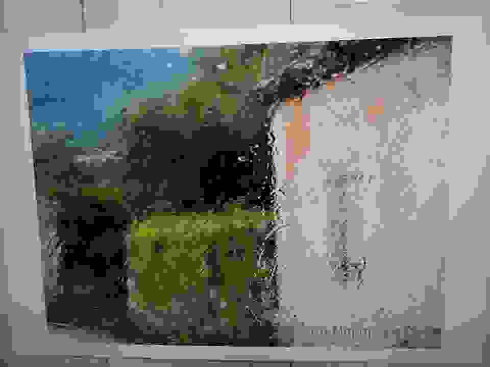 an11