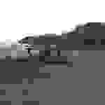 an11