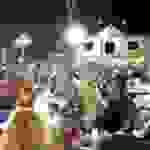an1