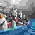 an12