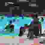 an14