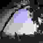 an