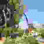 an1