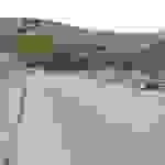 an