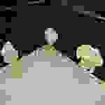 an