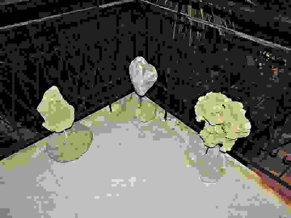 an