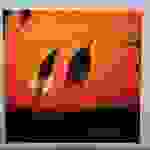an16