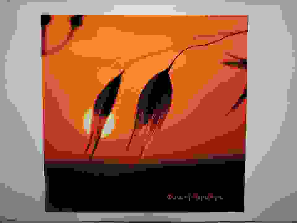 an16