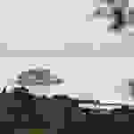 an1