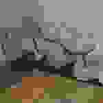 an17