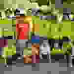 an1