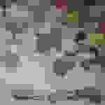 an18