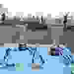 an