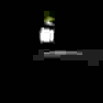 an1