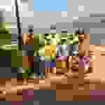 an