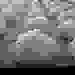 an2
