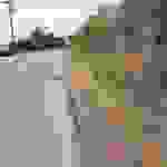 an2