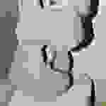 an2