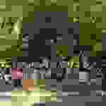 an2