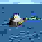 an