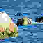 an2