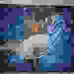 an28