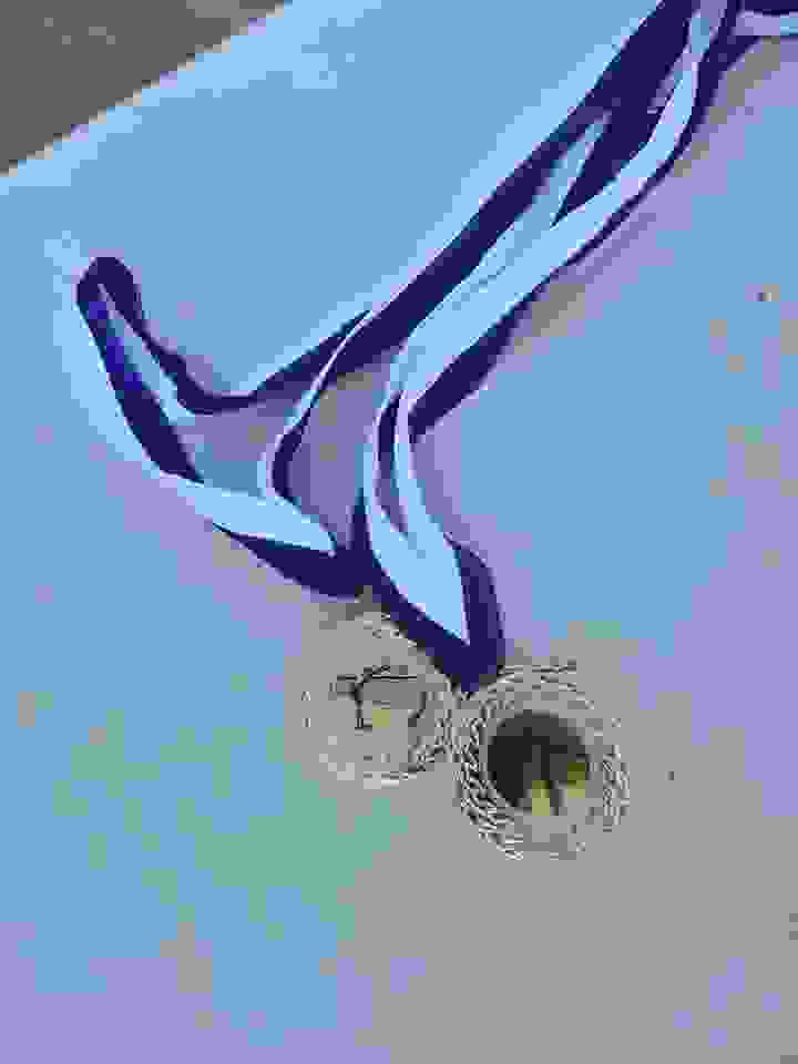 an3