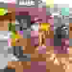 an3